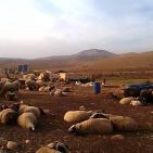 في موقع الحديدية في الاغوار الشمالية قوات الاحتلال  تستهدف مضارب ابو صقر واولاده