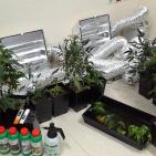 بالصور: الشرطة تضبط مستنبتا للمواد المخدرة قرب رام الله