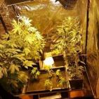 بالصور: الشرطة تضبط مستنبتا للمواد المخدرة قرب رام الله