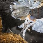 صور الطبيعة في العالم