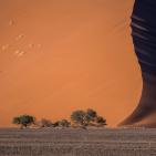 صور الطبيعة في العالم