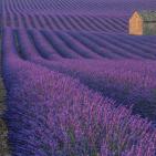 صور الطبيعة في العالم