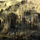 صور الطبيعة في العالم