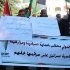 صيادو غزة يناشدون العالم لتخفيف معاناتهم