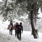 بالصور..