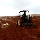 فلاحة الارض وزرعها في المرتفعات المطلة على الاغوار