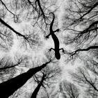 اجمل صور الطبيعة والحيوان في العالم