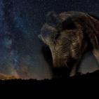 اجمل صور الطبيعة والحيوان في العالم