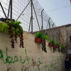 إطلاق مبادرة 