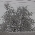 الثلوج في الخليل