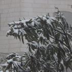 الثلوج في الخليل