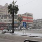 الزائر الأبيض في ضيافة الخليل