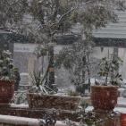 الزائر الأبيض في ضيافة الخليل