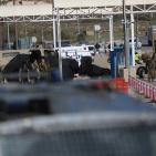 شهيد وإصابة 3 اسرائيليين بالقرب من حاجز بيت ايل