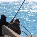 جولة في ميناء غزة البحري