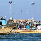 جولة في ميناء غزة البحري