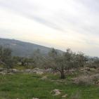 بالصور: قرية بورين قضاء مدينة نابلس اليوم