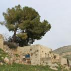 بورين.. قرية ينغص الاستيطان عيش سكانها