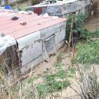 بالصور والفيديو: حارة 