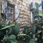 المالحه - القدس