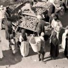 بلد الشيخ حيفا