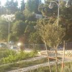 عين كارم ­­­­­­­­ شاهده على تاريخ الفلسطينين في القدس