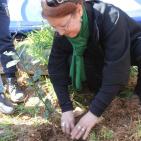 زراعة أشجار بأسماء شهداء الخليل