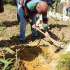 زراعة أشجار بأسماء شهداء الخليل