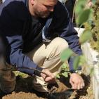 زراعة أشجار بأسماء شهداء الخليل