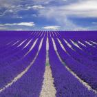 مجموعة صور طبيعية مذهلة من مختلف أنحاء العالم