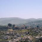 سهول مرج ابن عامر تكتسيى بالخضرة - عرابه جنين