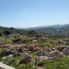 سهول مرج ابن عامر تكتسيى بالخضرة - عرابه جنين