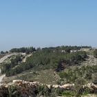 سهول مرج ابن عامر تكتسيى بالخضرة - عرابه جنين