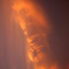 شاهد اغرب الصور