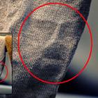 شاهد اغرب الصور