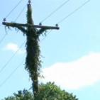 شاهد اغرب الصور