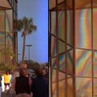 شاهد اغرب الصور