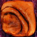 شاهد اغرب الصور