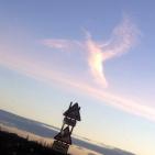 شاهد اغرب الصور