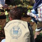 النجاح التطوعية تُنظم نشاط لزراعة الأشجار بالتعاون مع بلدية نابلس