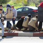 النجاح التطوعية تُنظم نشاط لزراعة الأشجار بالتعاون مع بلدية نابلس