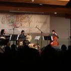 عرض الموسيقي أمير الصفار في مهرجان الياسمين