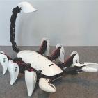 طلاب يصممون روبوتاً 