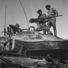 48 عاما على معركة الكرامة