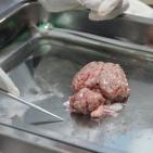 جامعة الخليل تفتتح أسبوع العلوم والتكنولوجيا الرابع