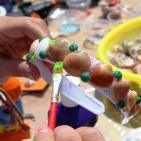 غزة تُشارك في مهرجان نوار نيسان 