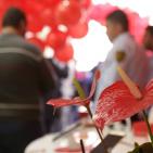 افتتاح فرع جديد للوطنية موبايل بالقرب من دوار الساعة في رام الله