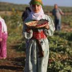 افتتاح مهرجان الفقوس في بلدة دير بلوط