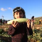 افتتاح مهرجان الفقوس في بلدة دير بلوط