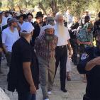 صور: متطرفون يقتحمون الاقصى وسط حراسة مشددة